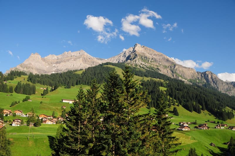 Charmante 3-Zimmer-FERIEN-Wohnung mit Alpenpanorama in Adelboden (2)