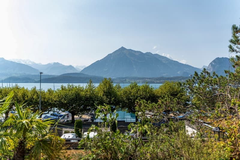 Charmante 3.5-Zimmer-Terrassenwohnung mit traumhaftem Seepanorama in Oberhofen am Thunersee (1)