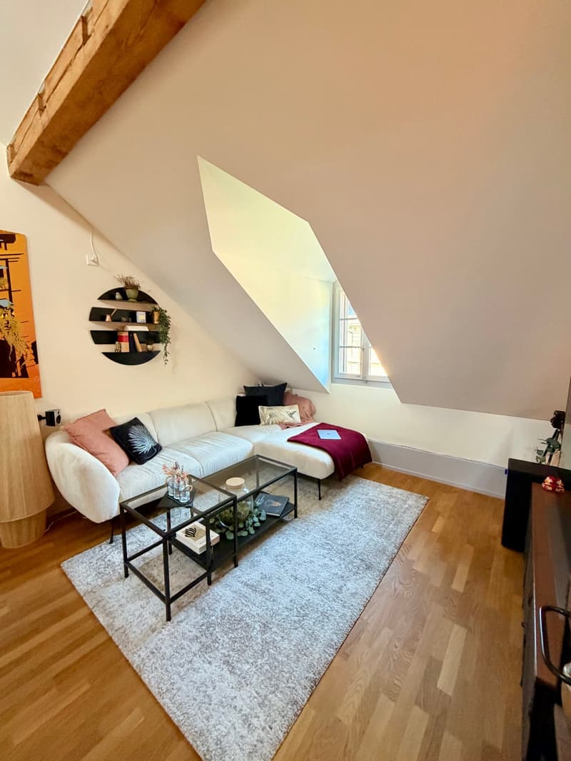 Charmante 2.5-Zimmer-Dachwohnung an ruhiger Lage in Bern (8)