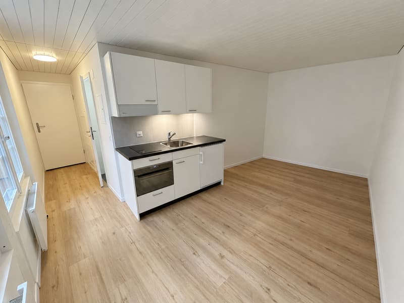 Charmantes Studio im Herzen von Thun | Altbau mit modernem Komfort (2)