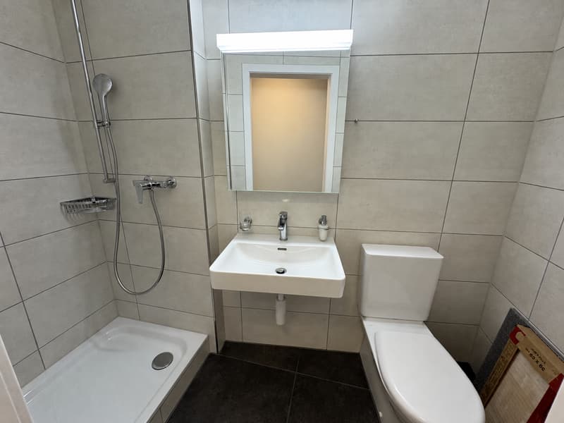 Charmantes Studio im Herzen von Thun | Altbau mit modernem Komfort (3)