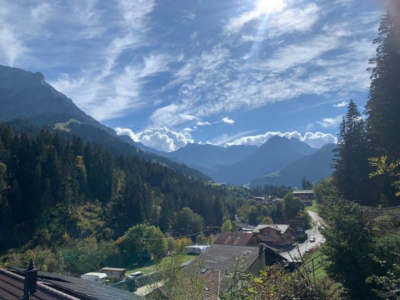Gemütliche 2-Zimmer-Wohnung mit Balkon und Autounterstand in Adelboden (1)