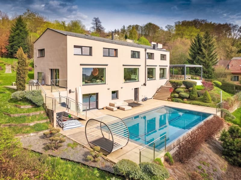 Élégance contemporaine avec vue panoramique sur le Léman (1)