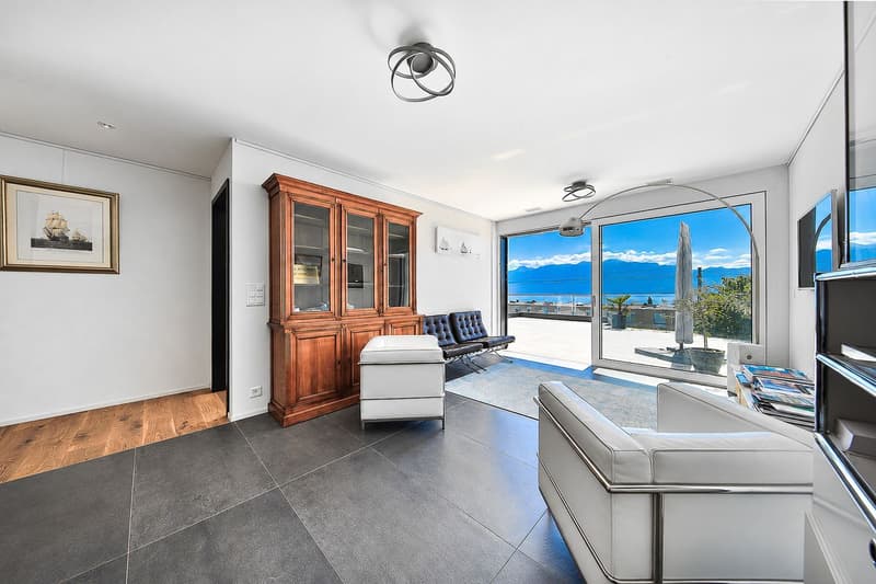 Appartement moderne de 2.5 pièces avec une terrasse de 45m2 et une vue à couper le souffle (4)
