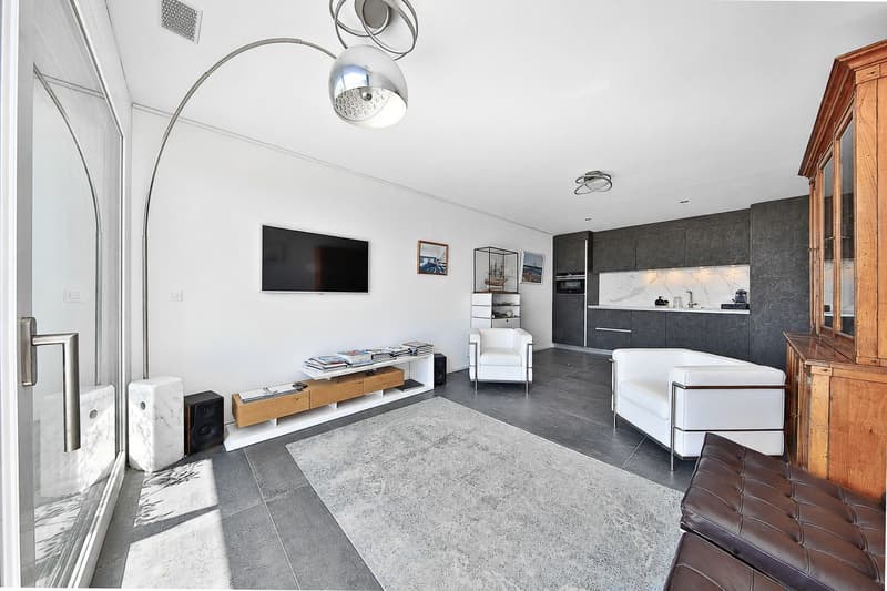 Appartement moderne de 2.5 pièces avec une terrasse de 45m2 et une vue à couper le souffle (3)