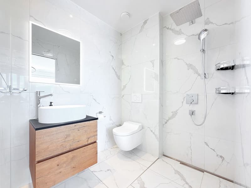 Appartement moderne de 2.5 pièces avec une terrasse de 45m2 et une vue à couper le souffle (5)