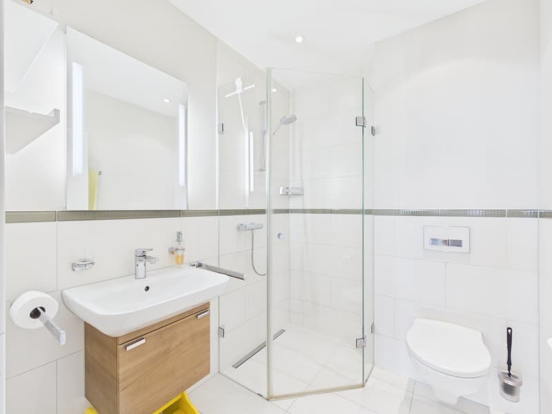 Bright 4.5-Room Minergie Apartment with Winter Garden and Balcony (10)