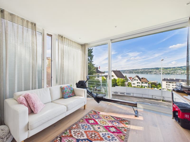 5.5-room Light Filled Loft with Lake Zurich Views Single Level & Open (8)