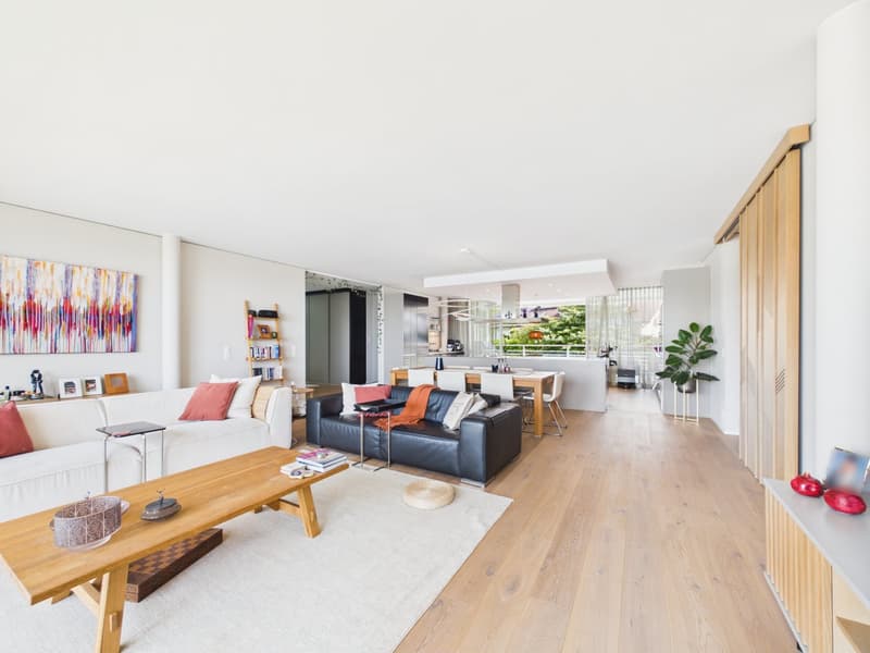 5.5-room Light Filled Loft with Lake Zurich Views Single Level & Open (2)