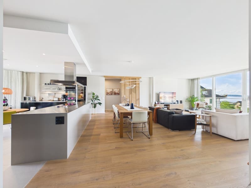 5.5-room Light Filled Loft with Lake Zurich Views Single Level & Open (4)
