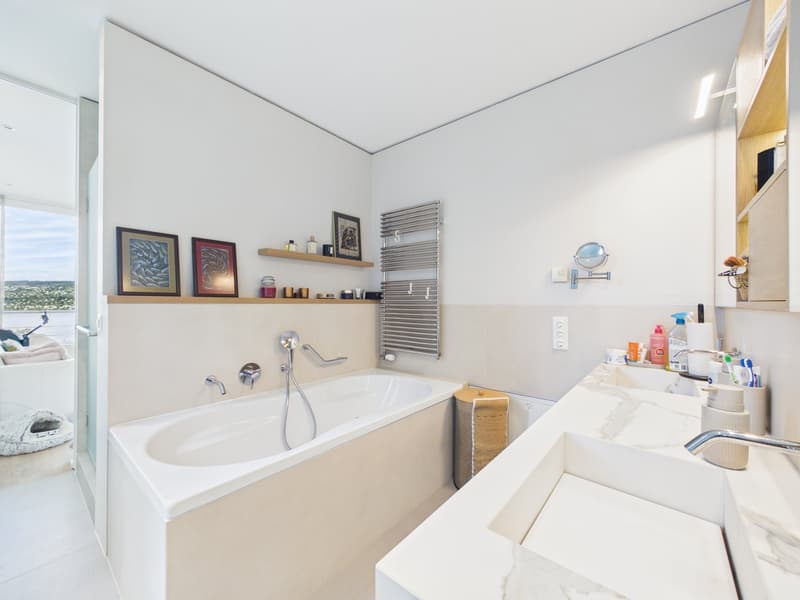 5.5-room Light Filled Loft with Lake Zurich Views Single Level & Open (11)