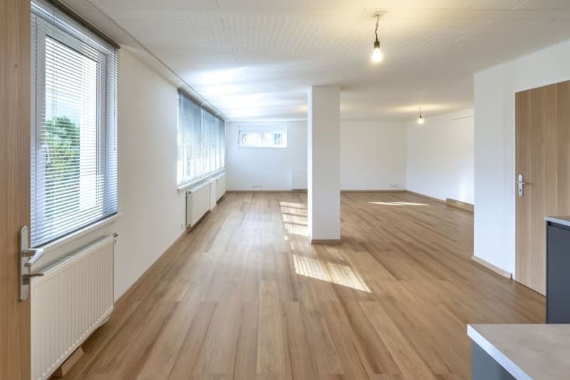 Attraktives 1.5-Zimmer Studio mit herrlichem Blick in Ebikon zur Miete (3)