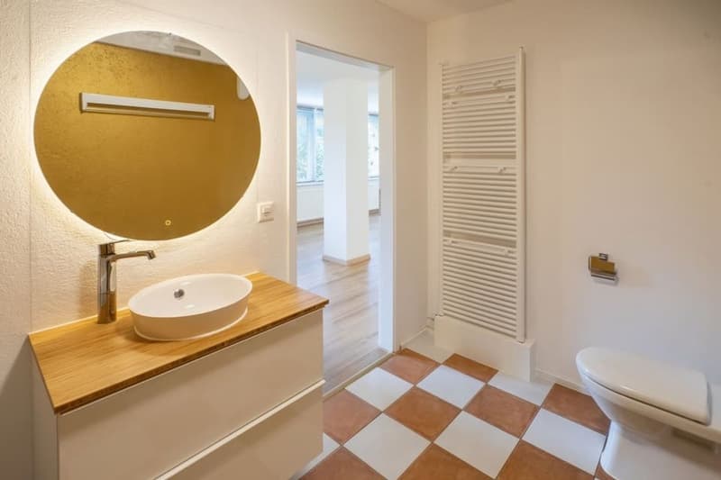 Attraktives 1.5-Zimmer Studio mit herrlichem Blick in Ebikon zur Miete (9)