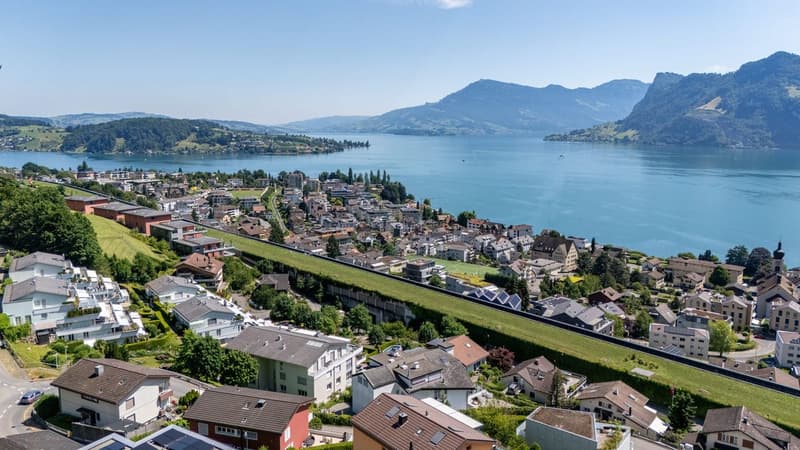 Panoramawohnen über dem Vierwaldstättersee - Herrlich Leben und Steuervorteile geniessen - (2)