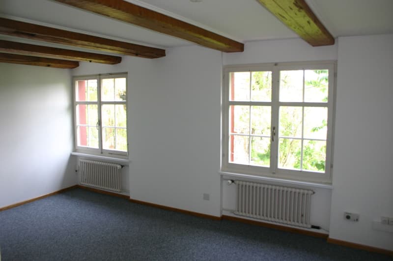 4.5-Zi. Eckhaus mit 272 m² Atelier/Büro in Eschlikon (10)