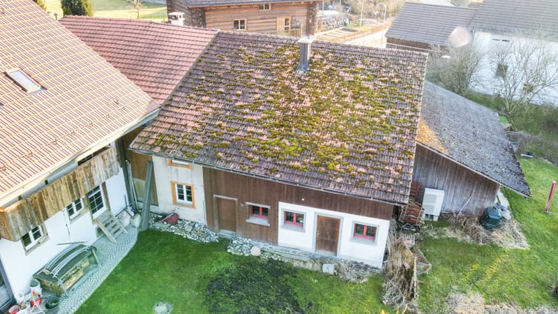 6-Zimmer-Einfamilienhaus mit Potenzial in Russikon kaufen (4)