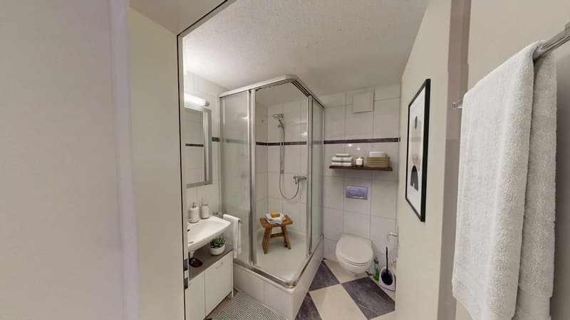 Helle 4-Zimmer-Wohnung mit grossem Balkon in Dietlikon (6)