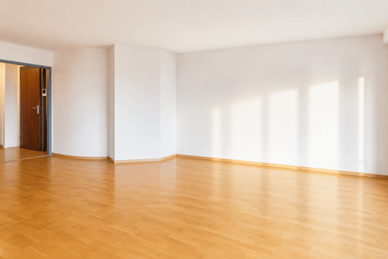 Rare à la vente : Magnifique appartement en première ligne du lac (4)