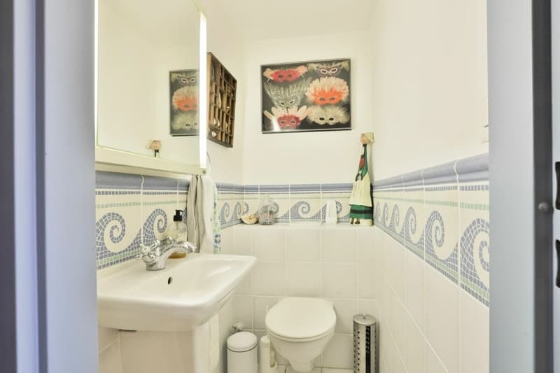 Rare à la vente : Magnifique appartement en première ligne du lac (12)