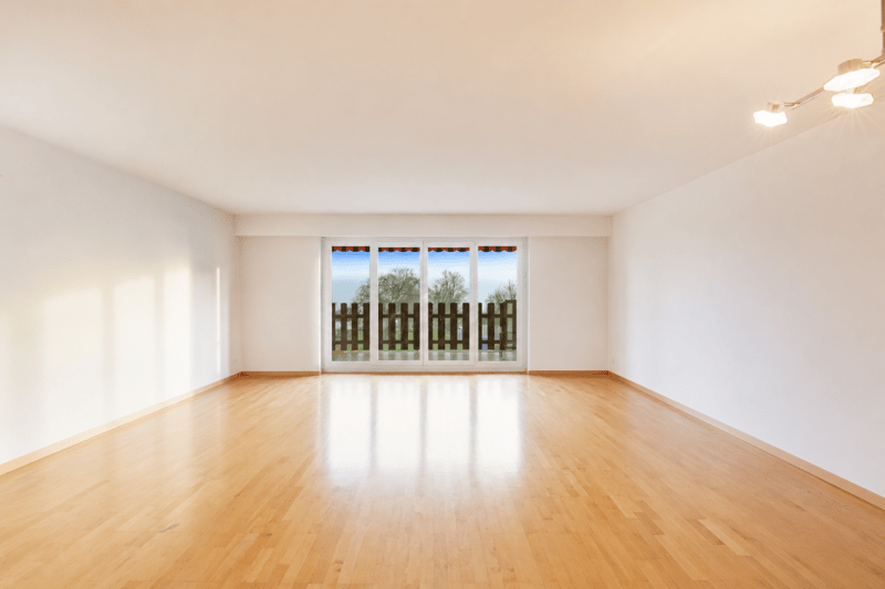 Rare à la vente : Magnifique appartement en première ligne du lac (2)