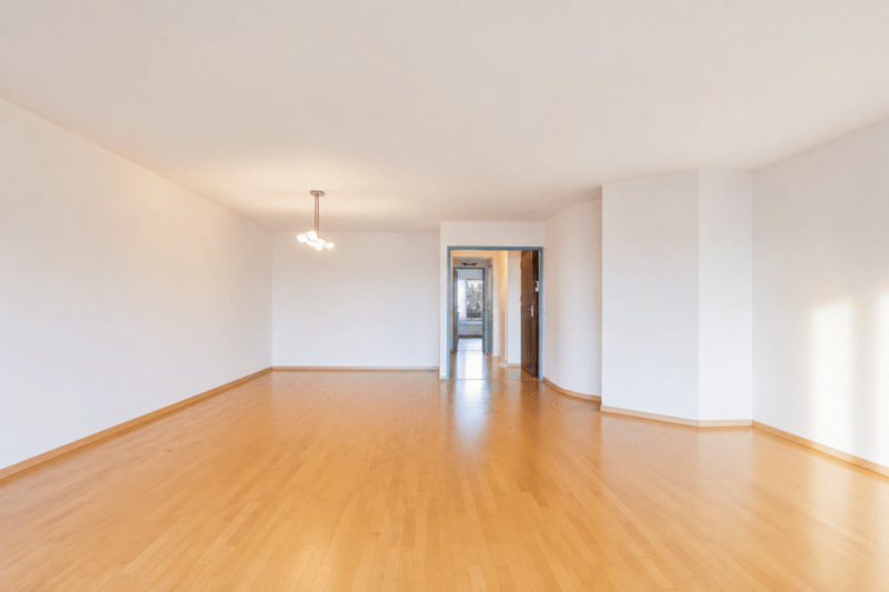 Rare à la vente : Magnifique appartement en première ligne du lac (3)