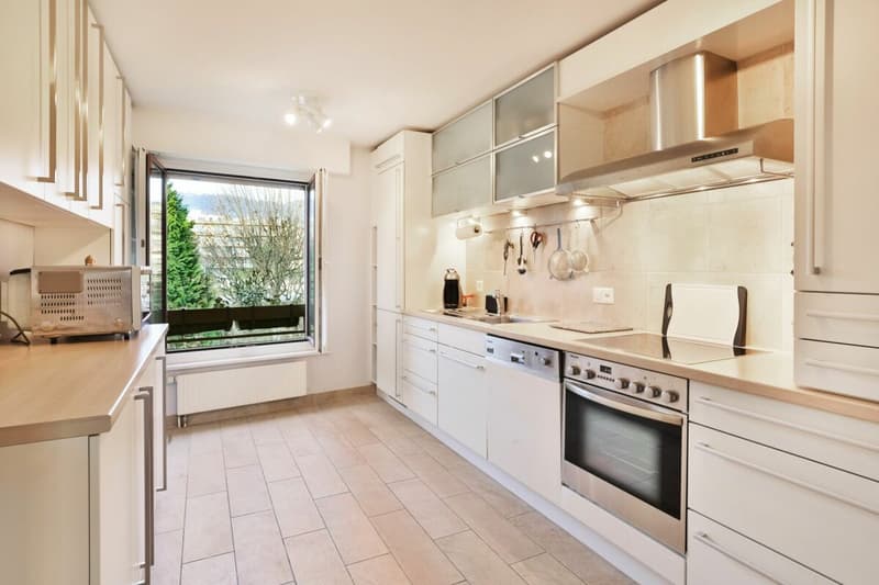 Rare à la vente : Magnifique appartement en première ligne du lac (5)