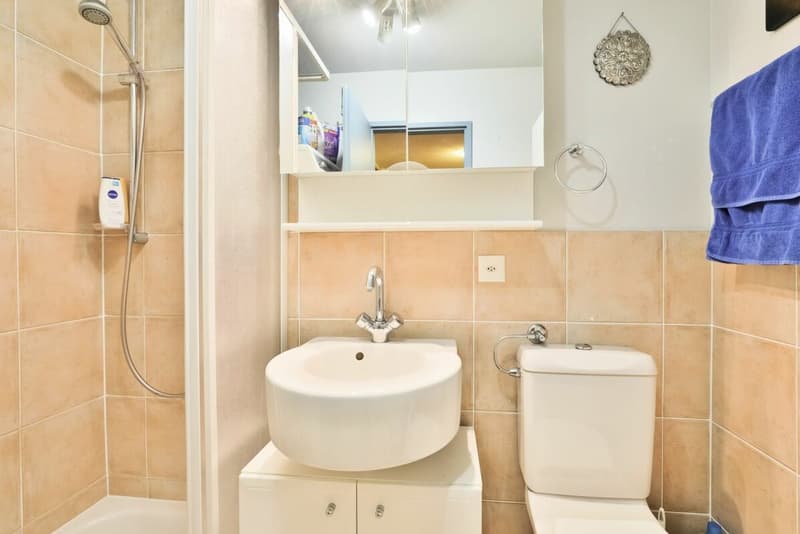 Rare à la vente : Magnifique appartement en première ligne du lac (13)