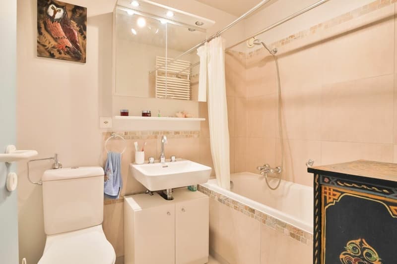 Rare à la vente : Magnifique appartement en première ligne du lac (9)