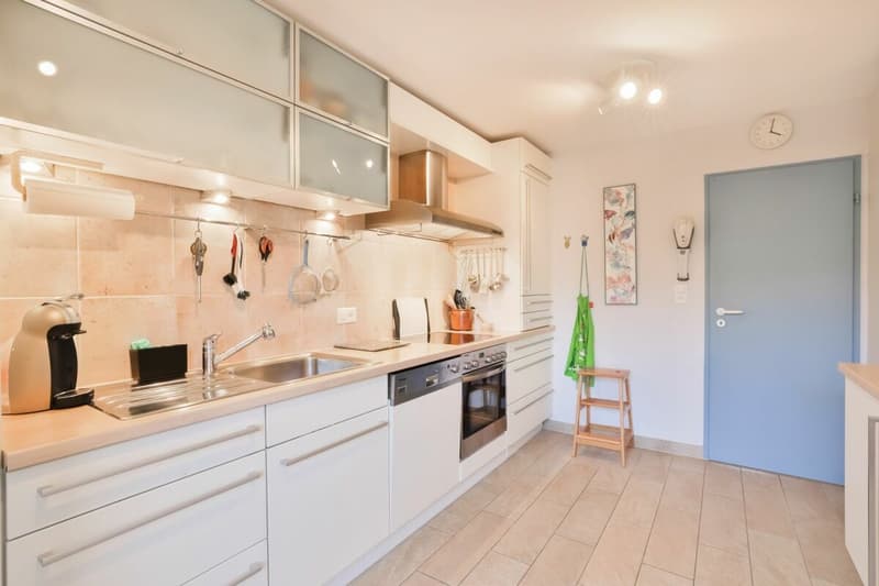 Rare à la vente : Magnifique appartement en première ligne du lac (6)