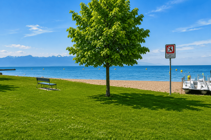 Rare à la vente : Magnifique appartement en première ligne du lac (16)