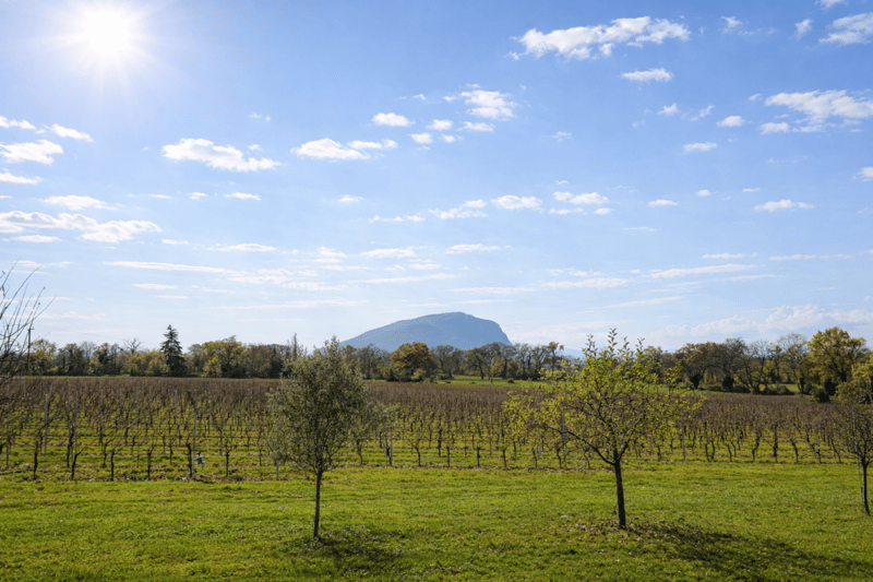 Villa de standing avec un vaste terrain à Presinge (GE) - Un cadre rare et paisible proche de Genève (6)