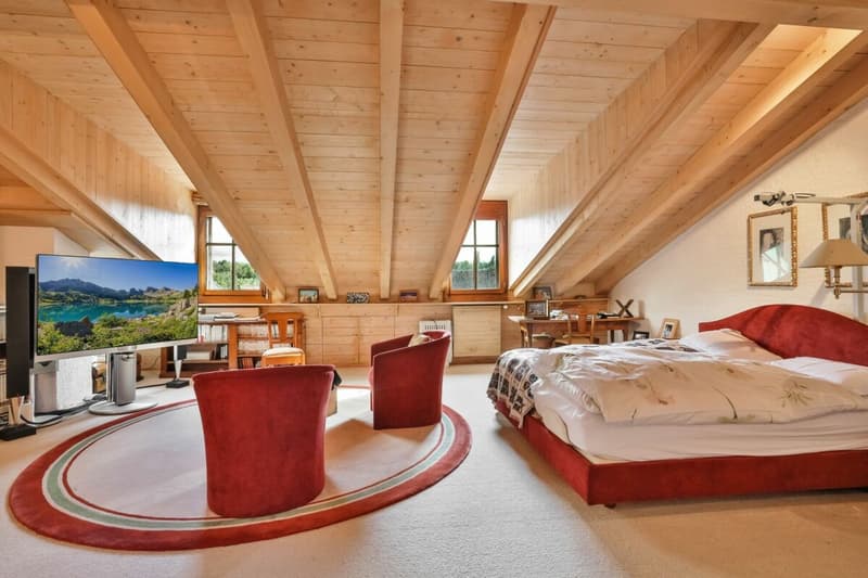 Demeure historique de caractère proche de Genève - 770 m2 (12)
