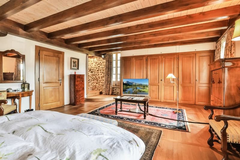 Demeure historique de caractère proche de Genève - 770 m2 (8)
