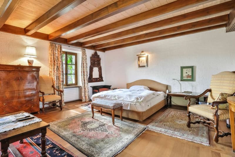 Demeure historique de caractère proche de Genève - 770 m2 (7)