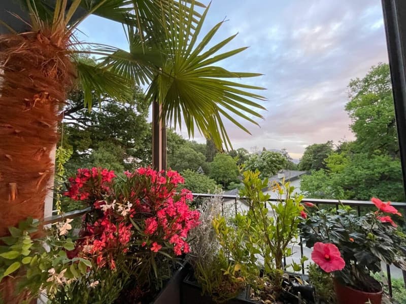 Appartement d'exception avec terrasse panoramique et vue sur le Jura à Presinge (18)