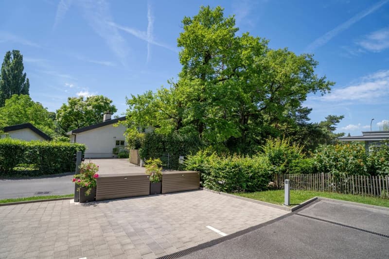 Appartement d'exception avec terrasse panoramique et vue sur le Jura à Presinge (21)