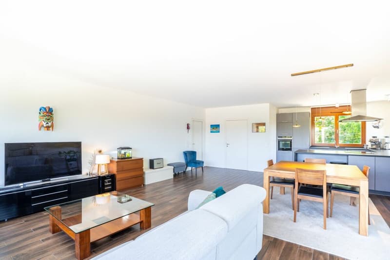 Appartement d'exception avec terrasse panoramique et vue sur le Jura à Presinge (5)