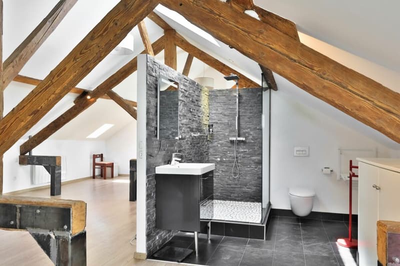 Duplex de charme entre nature et sérénité - Hameau de Monniaz avec grand jardin privatif (10)