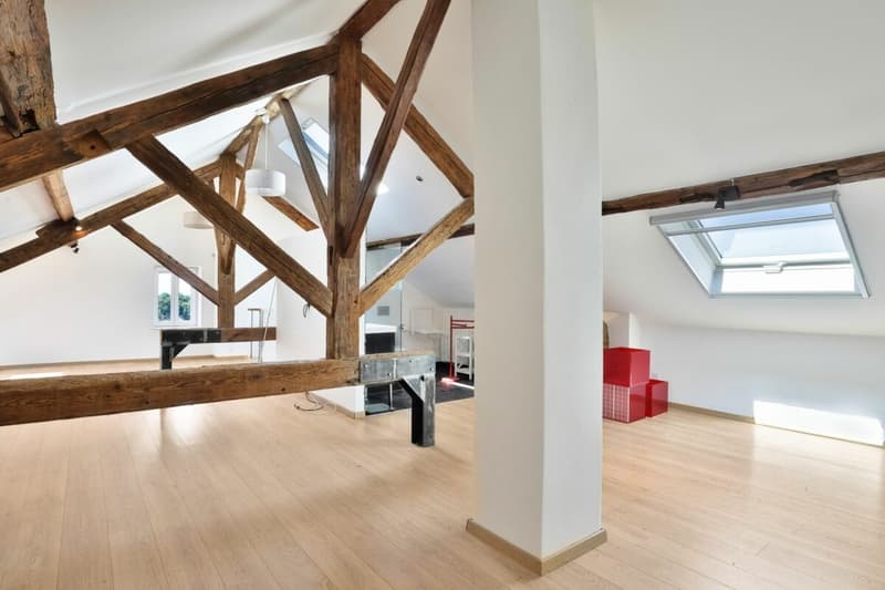 Duplex de charme entre nature et sérénité - Hameau de Monniaz avec grand jardin privatif (9)