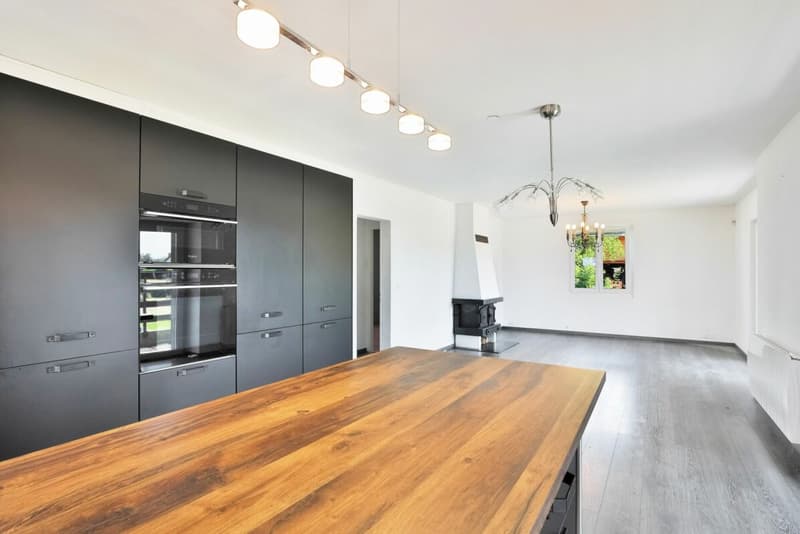 Duplex de charme entre nature et sérénité - Hameau de Monniaz avec grand jardin privatif (4)