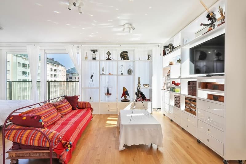 Appartement rare à vendre à Carouge - Emplacement exceptionnel, prestations haut de gamme (2)