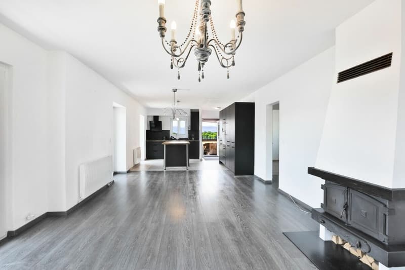 Duplex de charme entre nature et sérénité - Hameau de Monniaz avec grand jardin privatif (6)