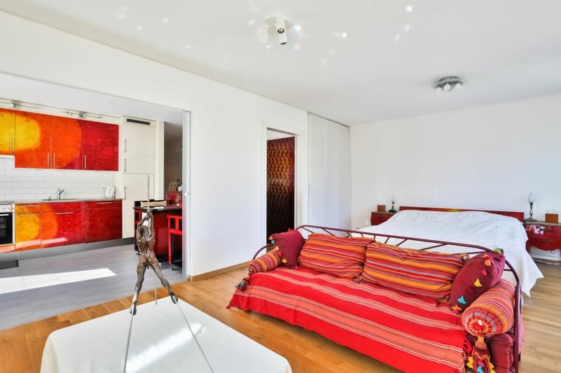 Appartement lumineux à Carouge - Beaux volumes, élégance contemporaine et cadre privilégié (6)