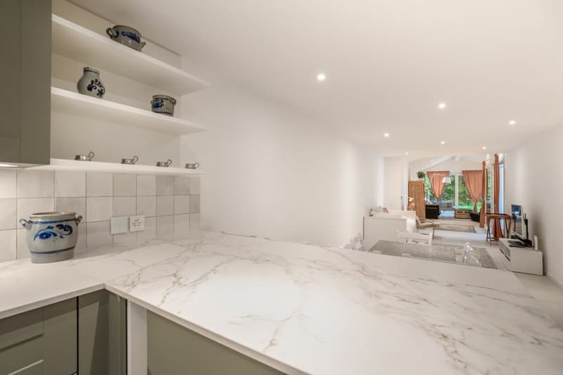 Appartement en rez-de-jardin à Versoix (7)