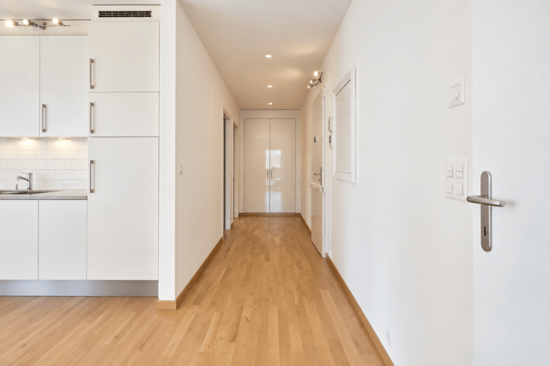 Appartement lumineux à Carouge - Beaux volumes, élégance contemporaine et cadre privilégié (5)
