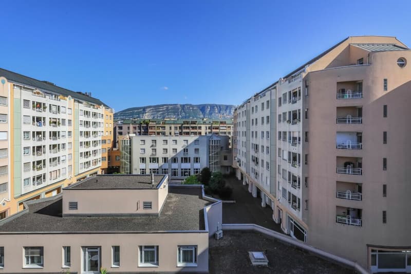 Appartement lumineux à Carouge - Beaux volumes, élégance contemporaine et cadre privilégié (8)