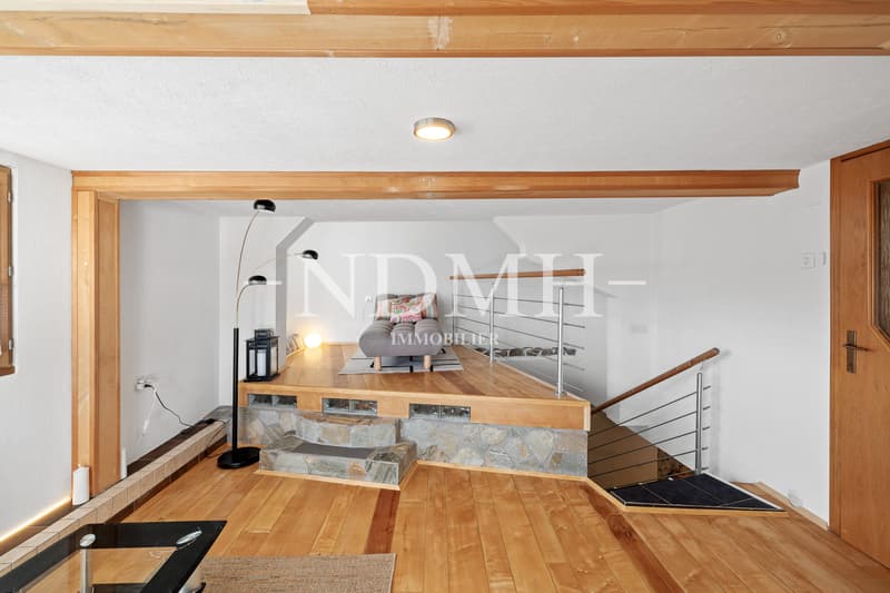 Appartement de 3 pièces au charme atypique (2)
