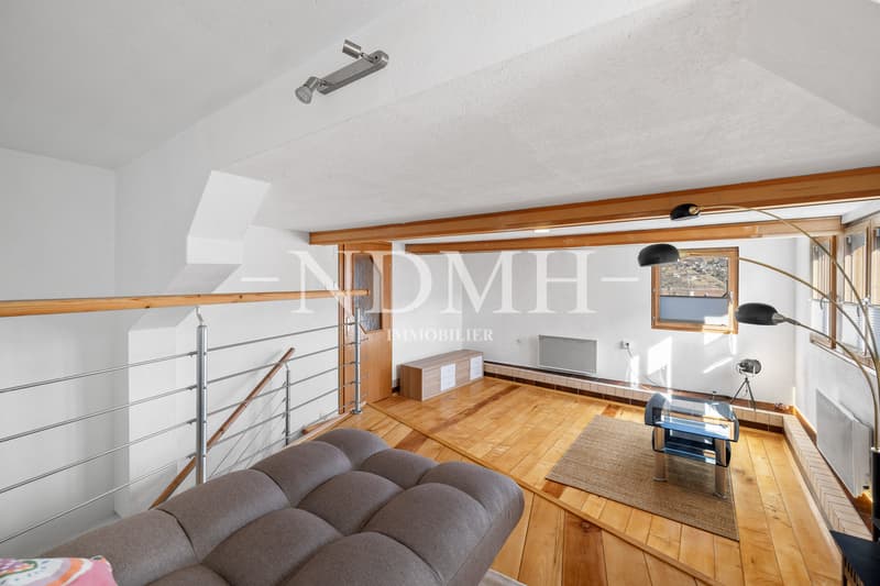 Appartement de 3 pièces au charme atypique (3)