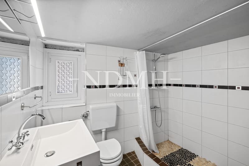 Appartement de 3 pièces au charme atypique (8)