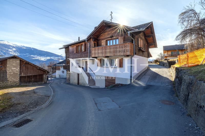 Appartement de 3 pièces au charme atypique (10)